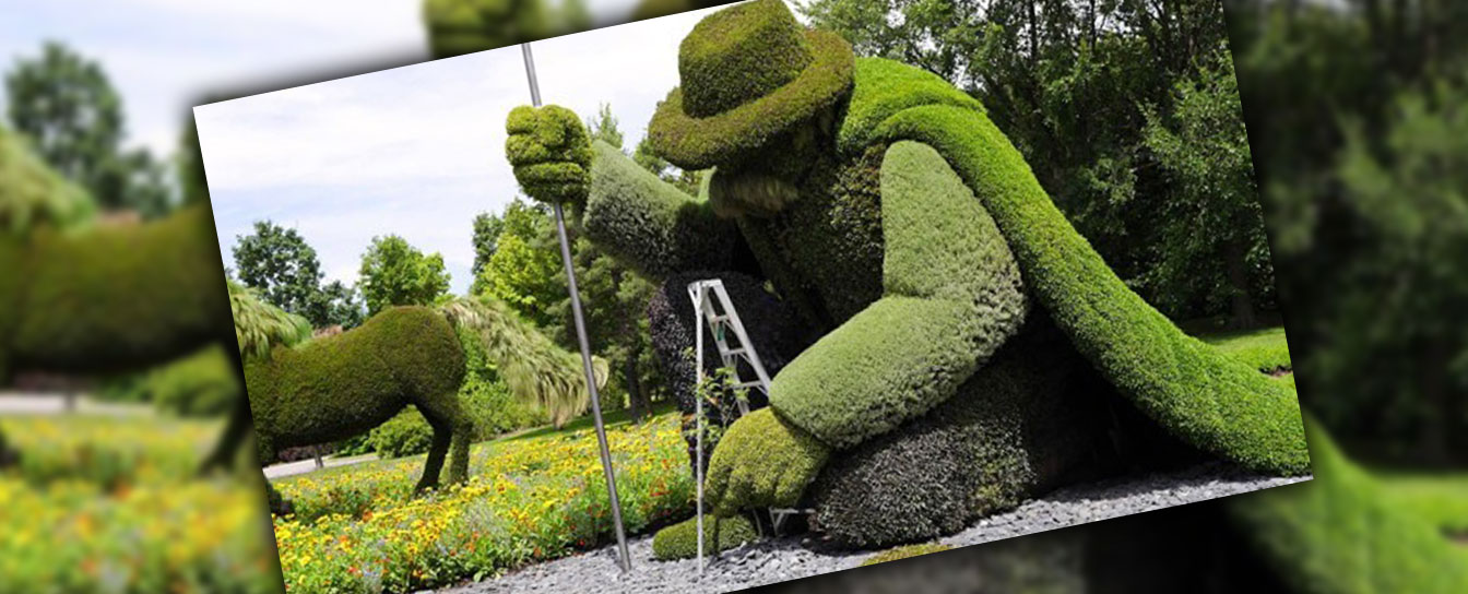 بررسي رابطه فضاي سبز با سلامت روان